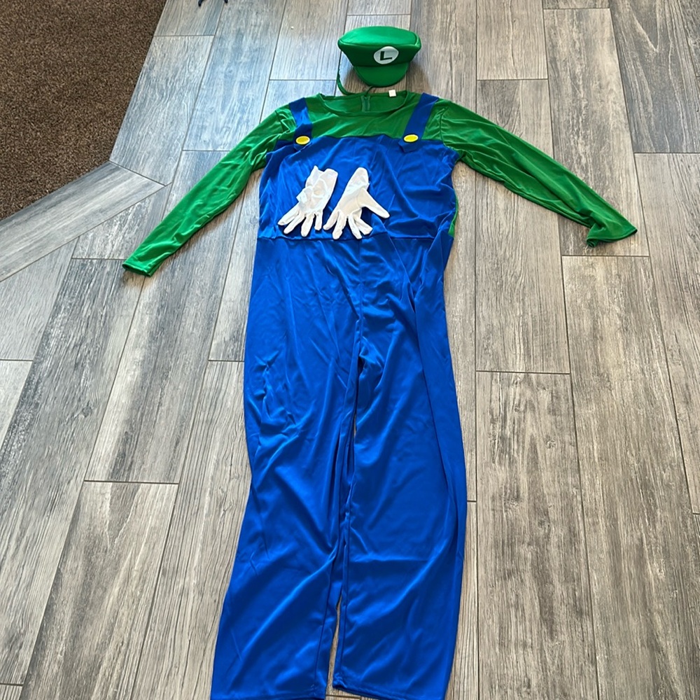 Adult Luigi costume XL